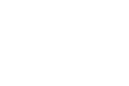 „Skanska“ logotipas
