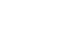 „Logo Plus“