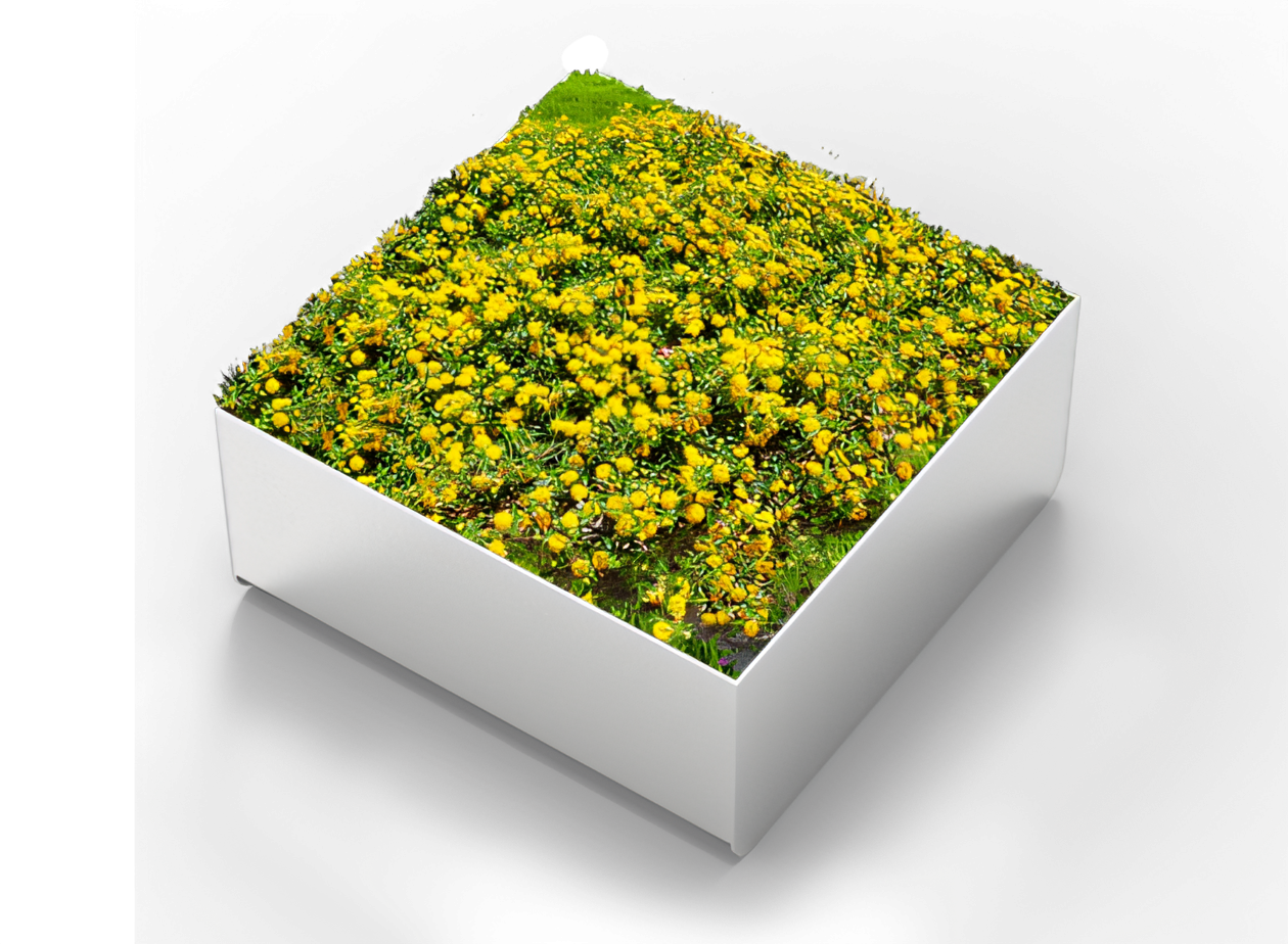 ZANO orbitinis puodas i&scaron; nerūdijančio plieno